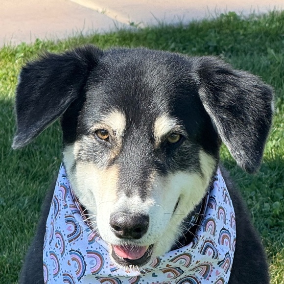 gracie12547